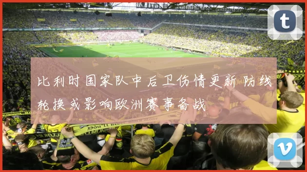 比利时国家队中后卫伤情更新 防线轮换或影响欧洲赛事备战