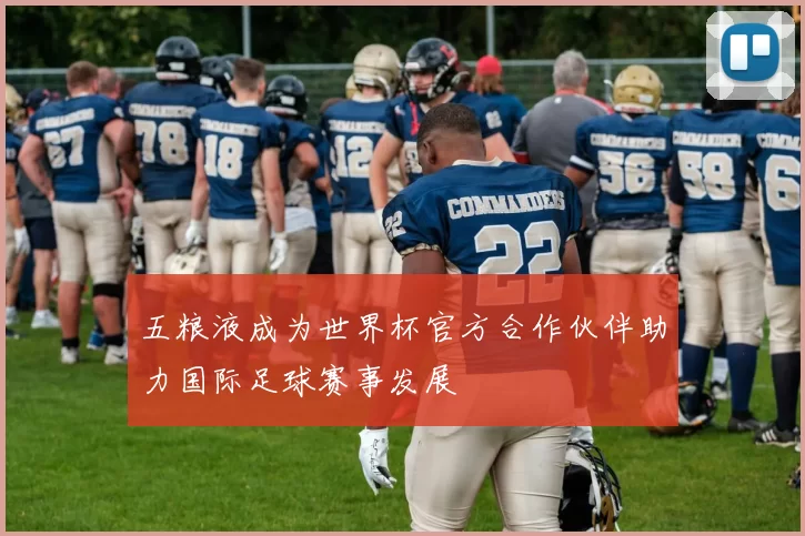 五粮液成为世界杯官方合作伙伴助力国际足球赛事发展