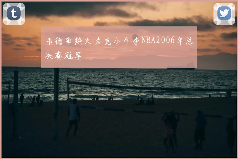 韦德率热火力克小牛夺NBA2006年总决赛冠军