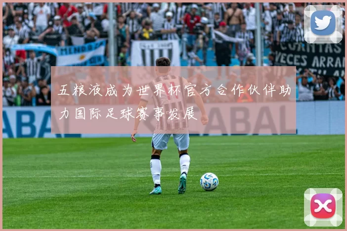 五粮液成为世界杯官方合作伙伴助力国际足球赛事发展