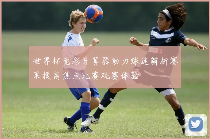 世界杯竞彩计算器助力球迷解析赛果提高焦点比赛观赛体验
