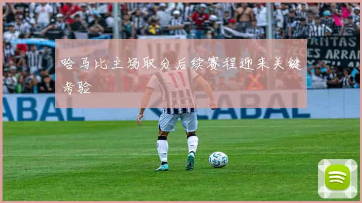 哈马比主场取分后续赛程迎来关键考验