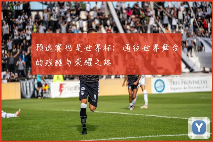 预选赛也是世界杯：通往世界舞台的残酷与荣耀之路