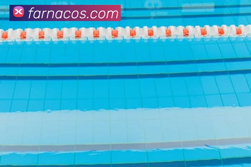 网上世界杯服务体系